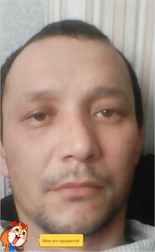 ���� 9104678 ������� �����, 45 ���, ���� ���������� � ������������