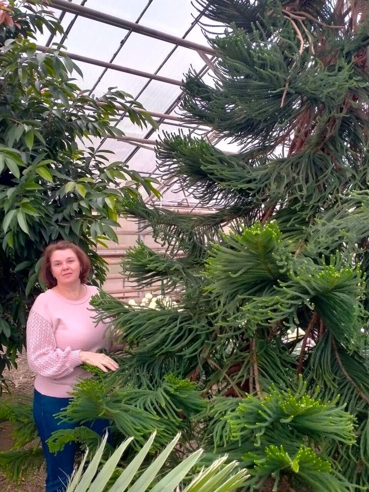 ���������� ���������, ���� ������� ������, 53 ����, ������������ ��� ����� � ���������, c�������� ���������, ���������