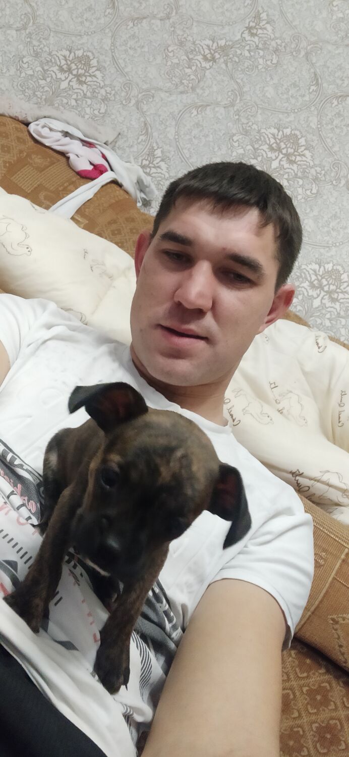 ���� 25732388 ������� �������, 32 ����, ���� ���������� � ������