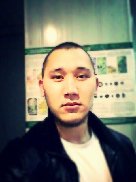  5073598  , 38 ,    -