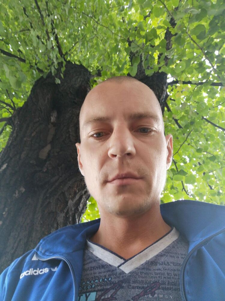 ���� 23643528 ������� ������, 36 ���, ���� ���������� � �������