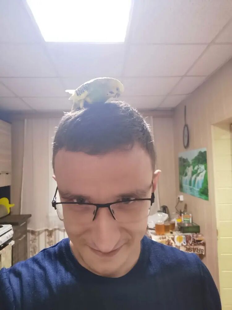  ,   , 34 ,     , c 