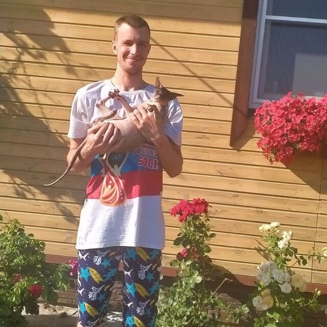 ���� 42333548 ������� ������, 33 ����, ���� ���������� � �����-����������