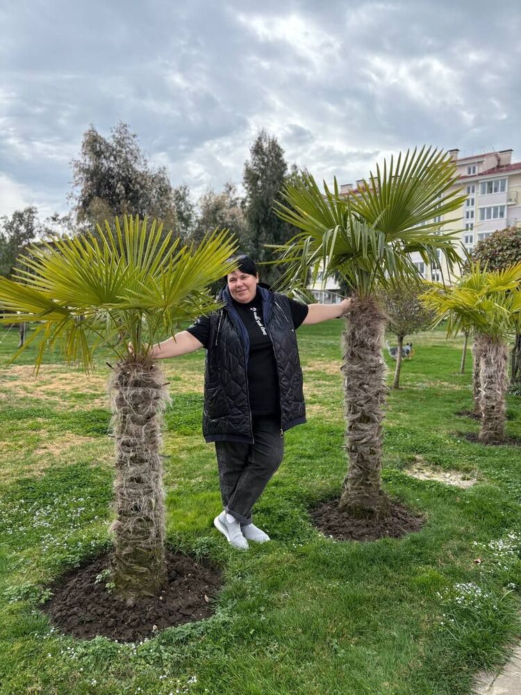 ���������� ������������, ���� ������� ���, 47 ���, ������������ ��� ����� � ���������, c�������� ���������