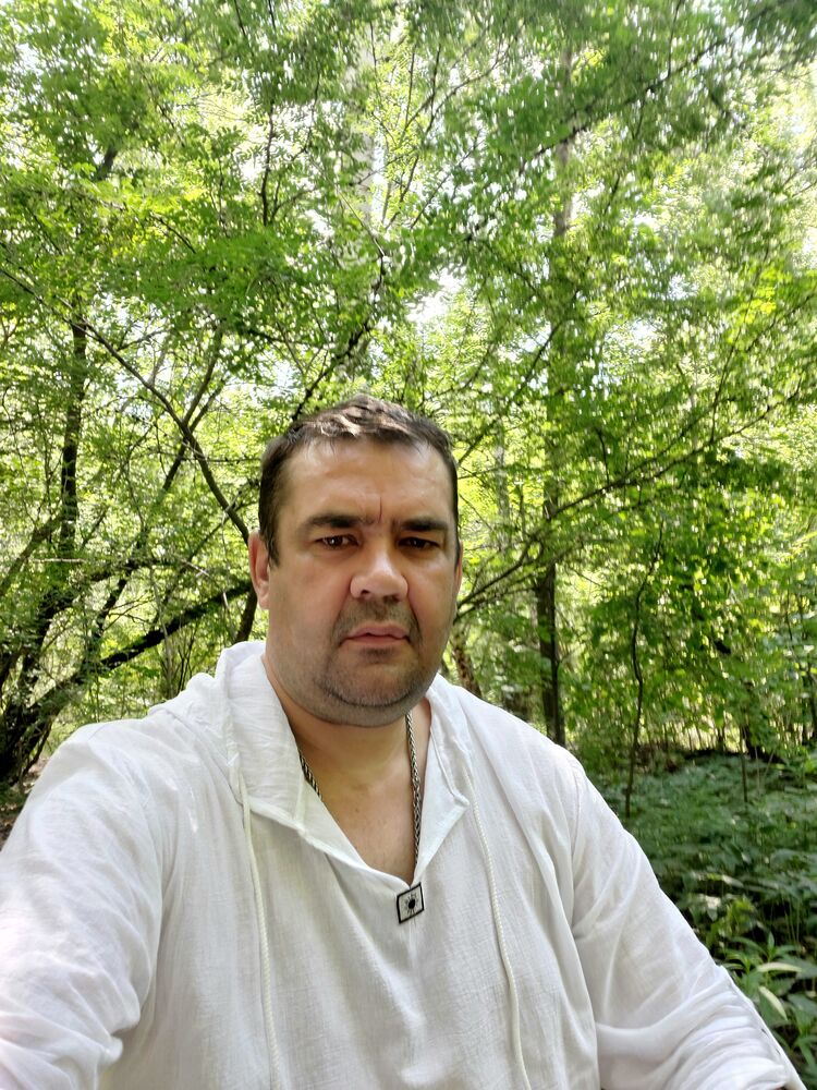 ���� 40528468 ������� �������, 50 ���, ���� ���������� � �������������