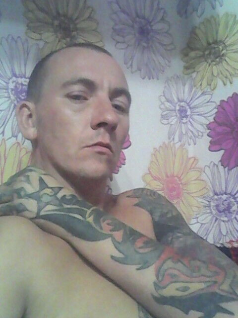  -,   , 41 ,   ,   , c 