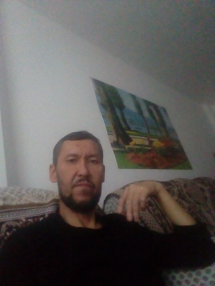  40868458  , 47 ,    