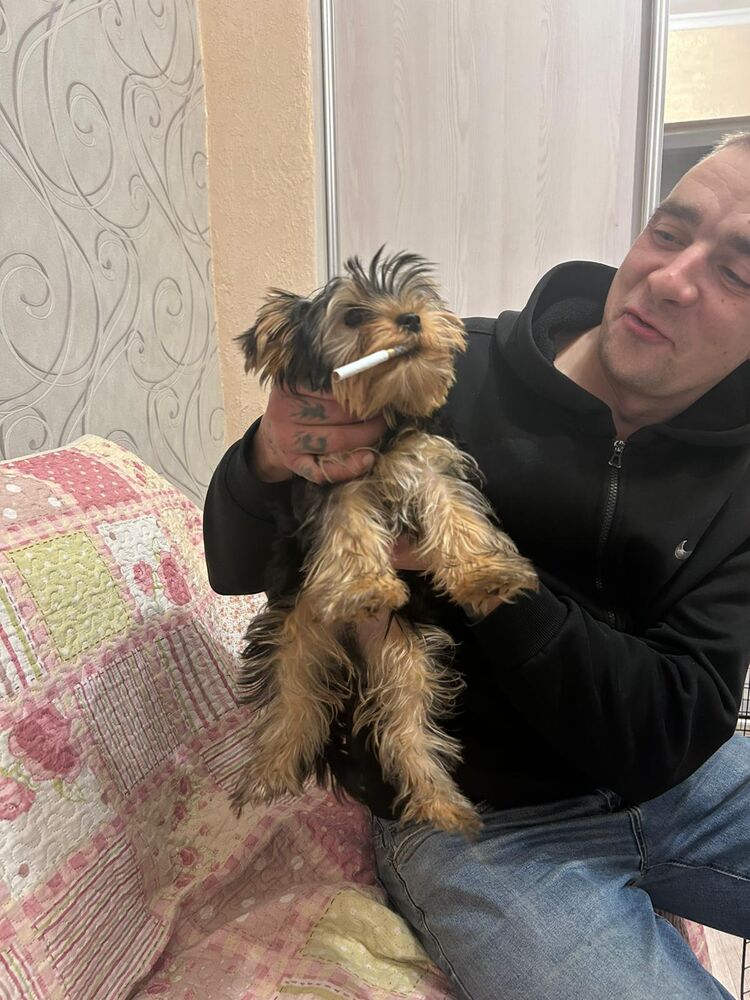 ���������� �������, ���� ������� ���������, 34 ����, ������������ ��� ������, ����� � ���������, c�������� ���������