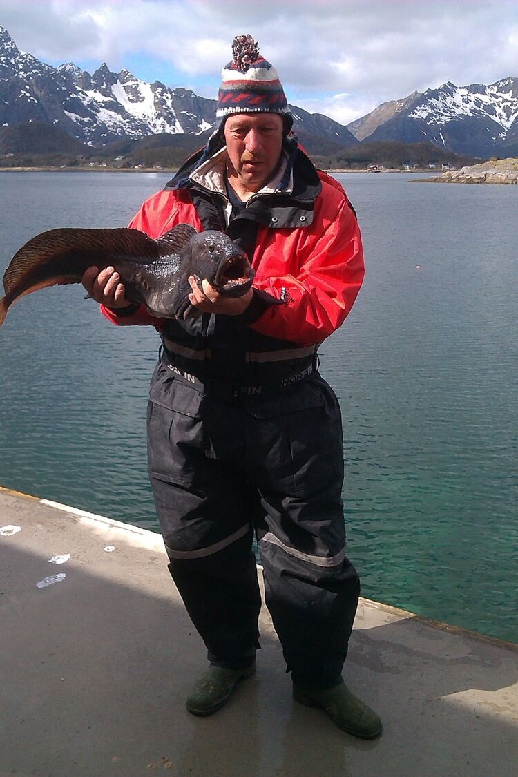 ���� 18518628 ������� ������, 57 ���, ���� ���������� � ��������