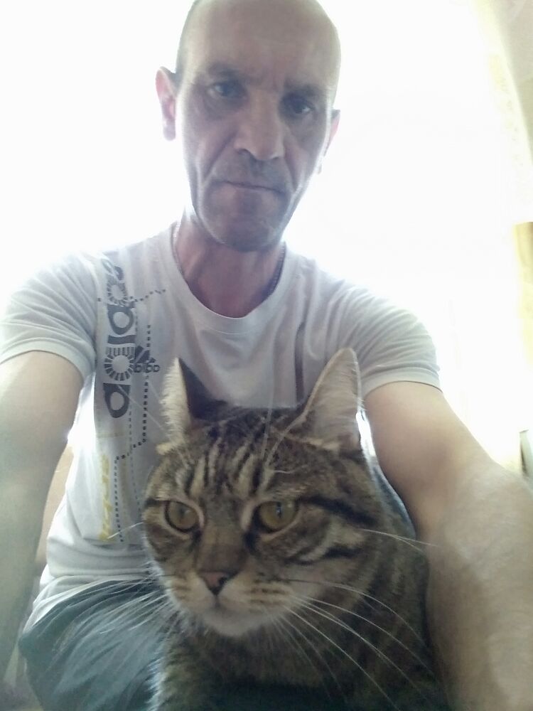 ���������� ����������� ����, ���� ������� �������, 50 ���, ������������ ��� ������, ����� � ���������, c�������� ���������