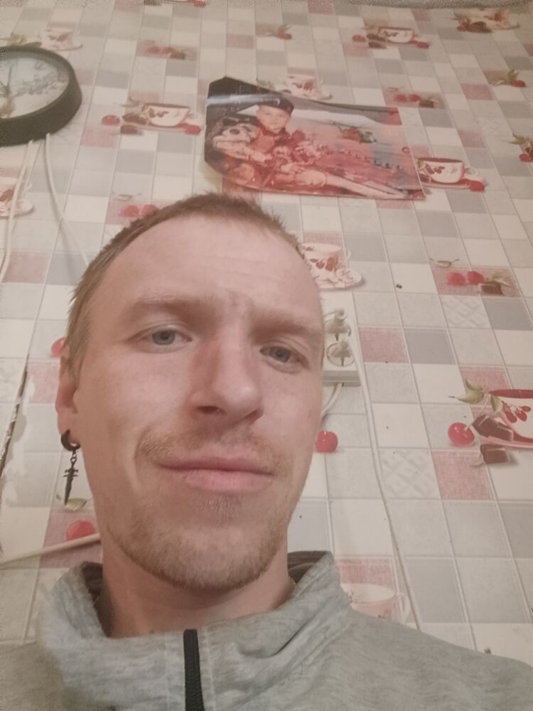  51183678  , 31 ,    