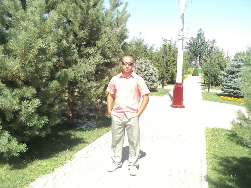  31535778  , 46 ,    Novy