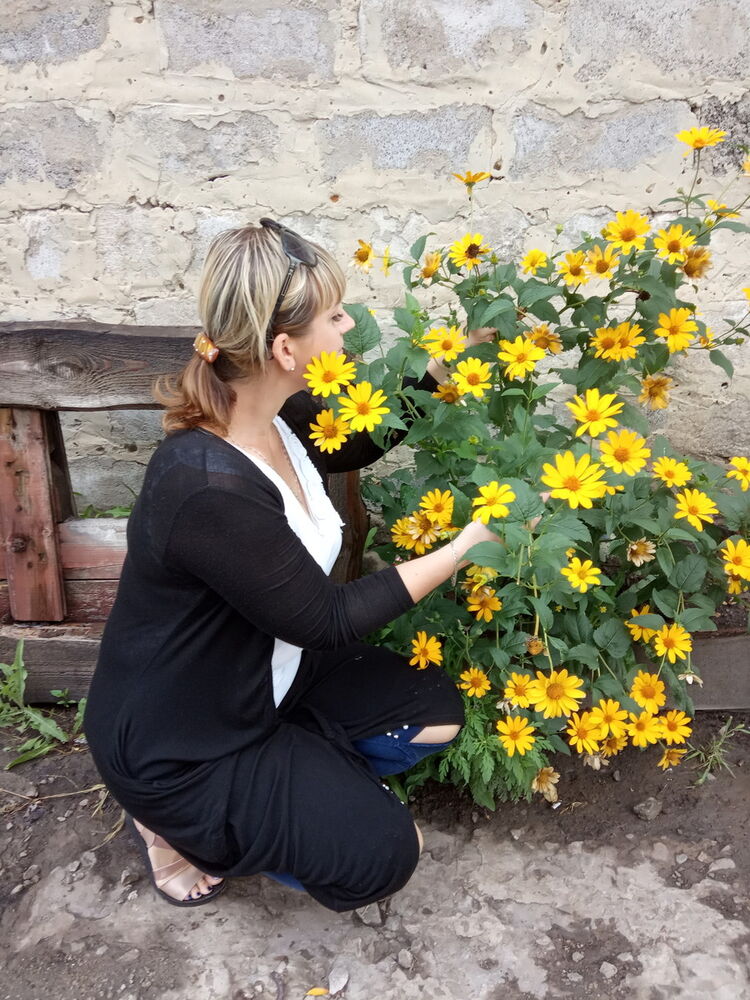  ,   , 40 ,   ,   