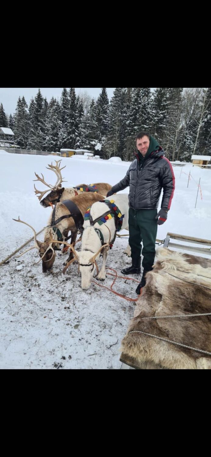 ���������� ������, ���� ������� �����, 38 ���, ������������ ��� ������, ����� � ���������, c�������� ���������, ���������