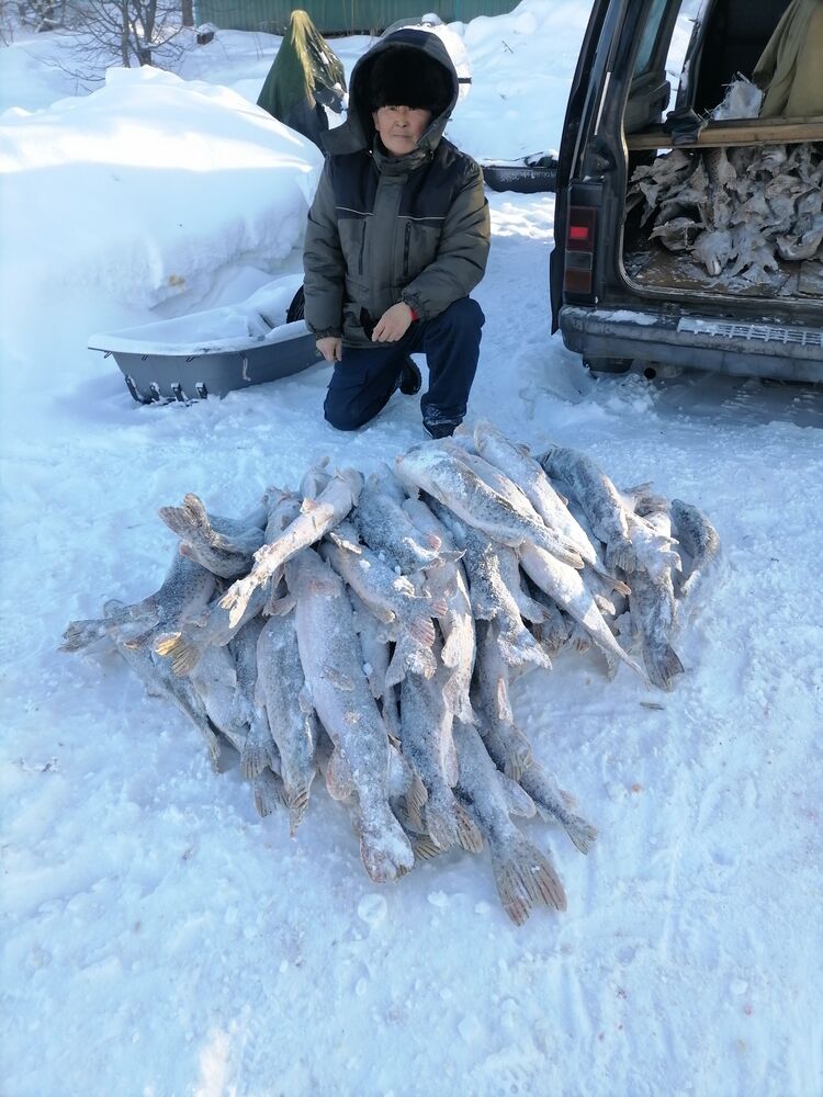  32804868  , 69 ,    