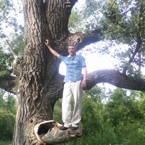 ���������� �������, ���� ������� �������, 40 ���, ������������ ��� ������, ����� � ���������, c�������� ���������