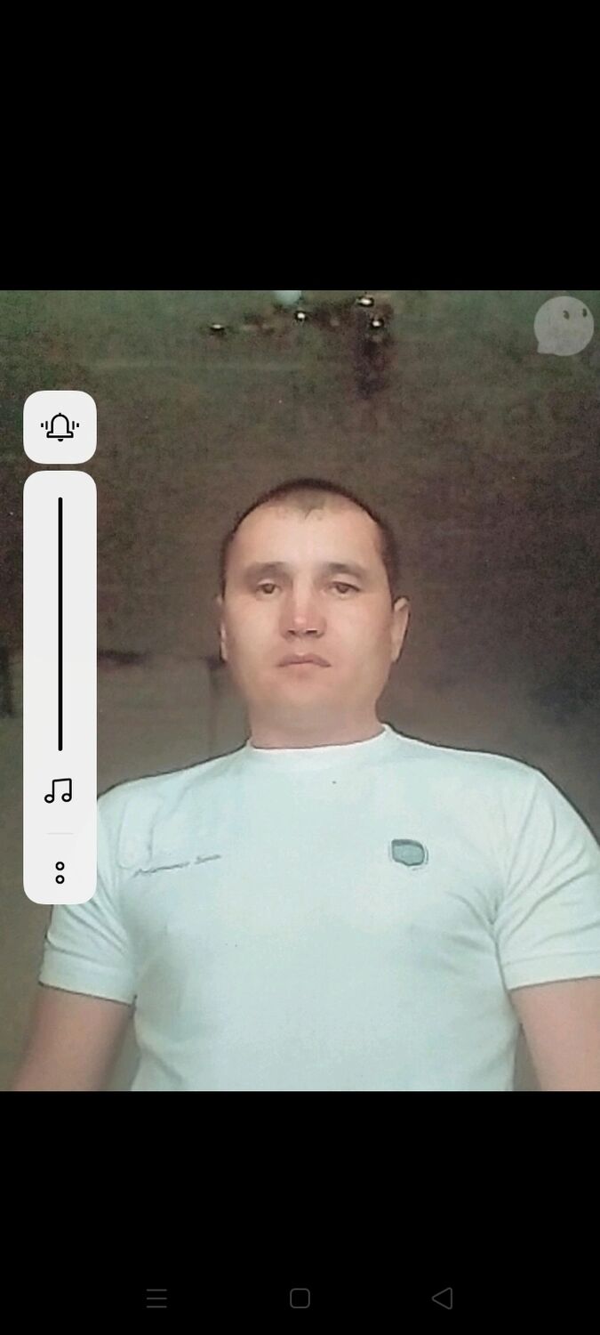  23704348  , 46 ,    -
