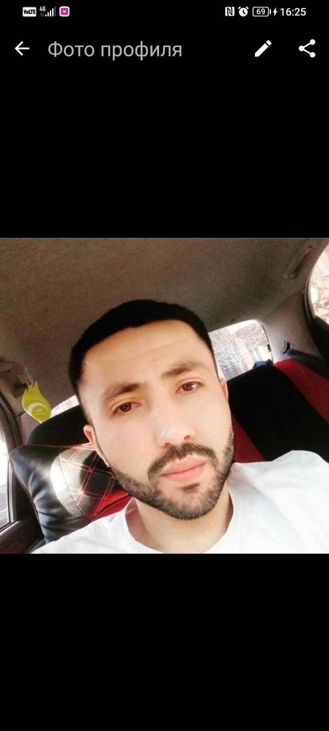  43383278  , 28 ,    -