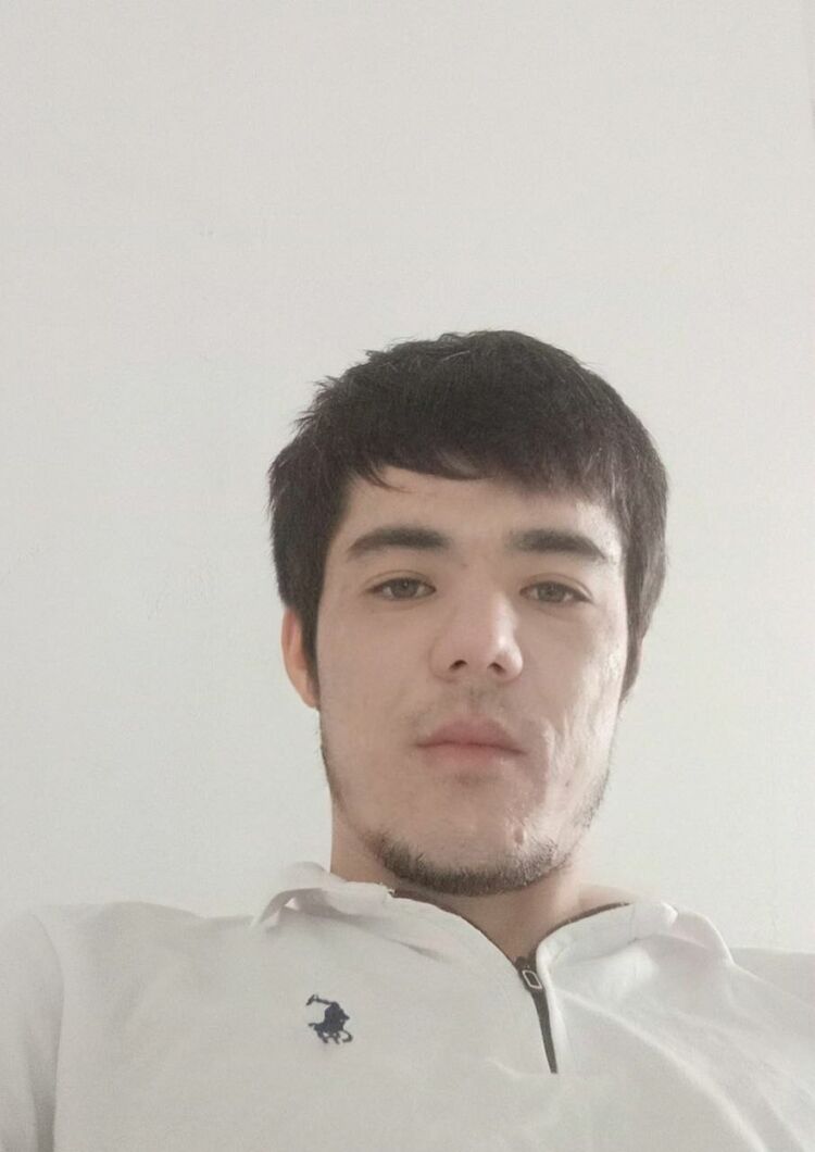  41257658  , 33 ,    
