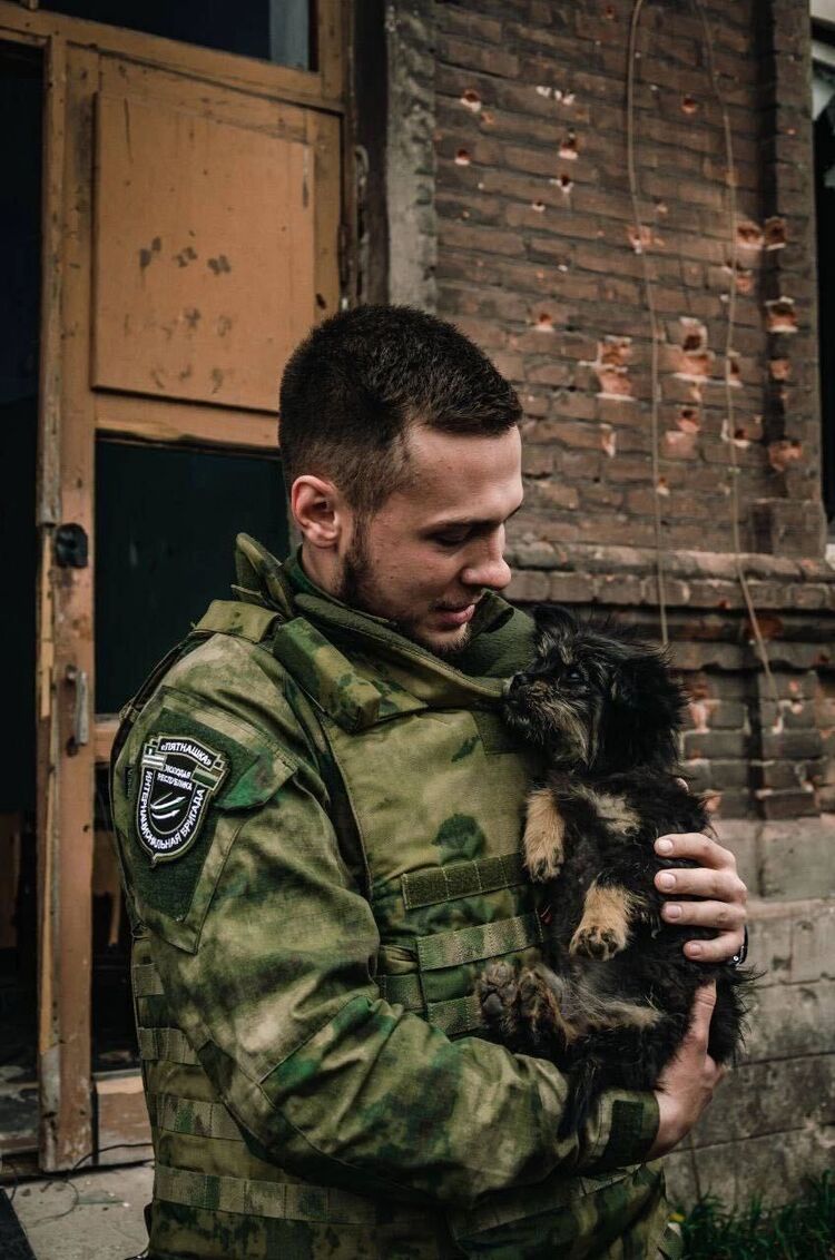 ���� 37959528 ����� ����, 20 ���, ���� ���������� � �������