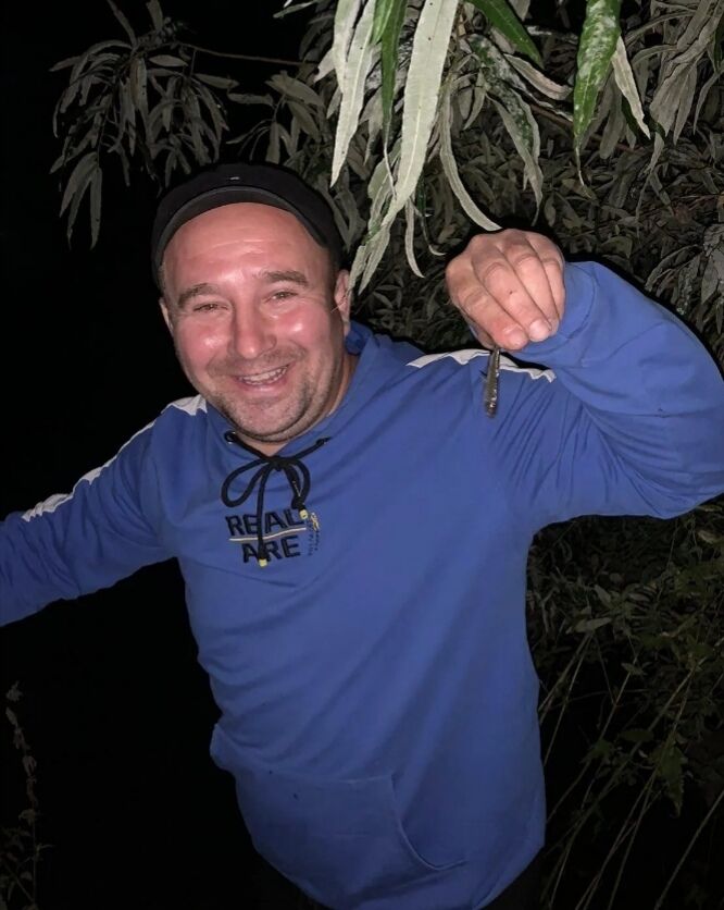  ,   , 43 ,   , 