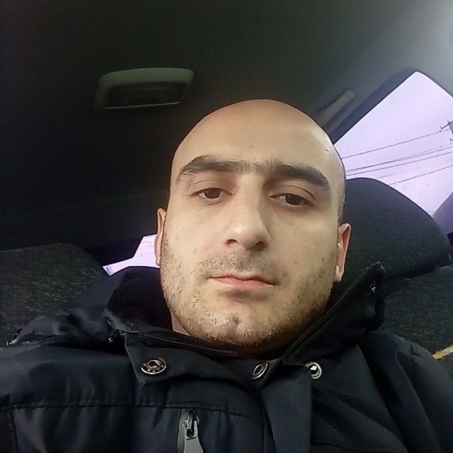  ,   Tigr, 33 ,   ,   