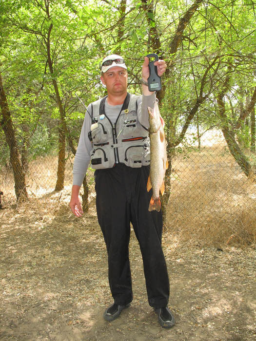  7621238  Andrei, 49 ,    