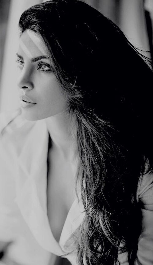 ���� 56115948 ������� ����, 31 ���, ���� ���������� � ������