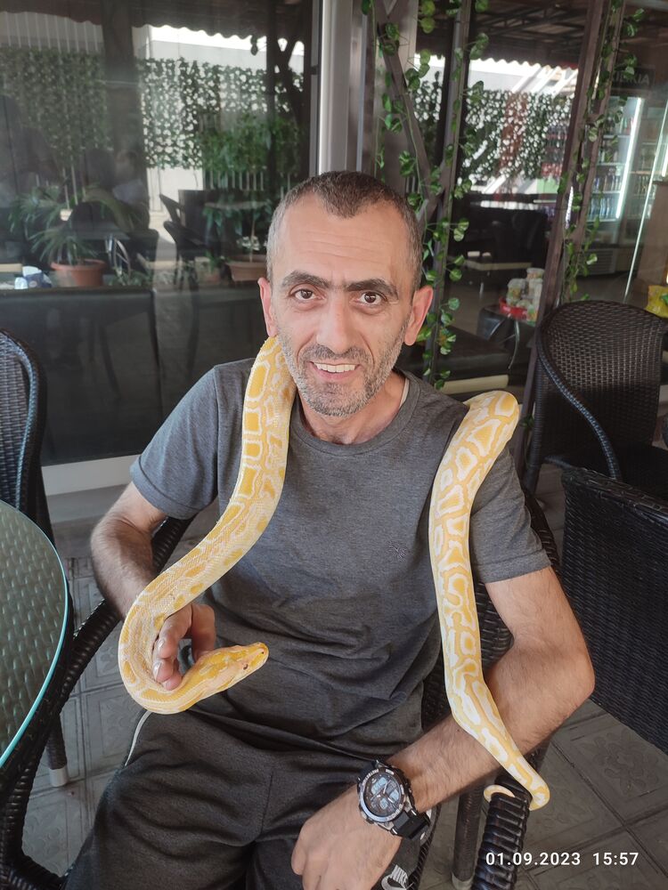 ���������� ������, ���� ������� Artak, 49 ���, ������������ ��� ������, ����� � ���������