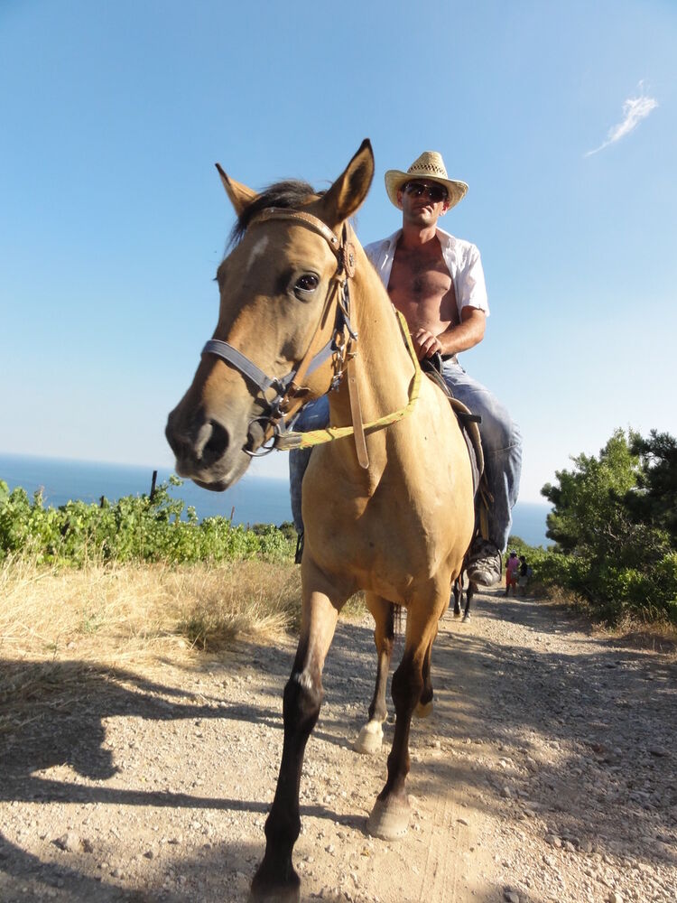 ���������� ������, ���� ������� �����, 44 ����, ������������ ��� ����� � ���������, c�������� ���������