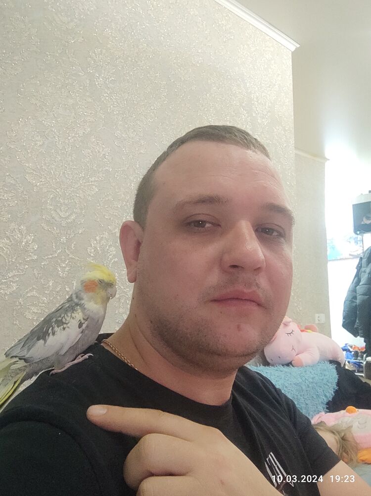 ���� 55176968 ������� ����, 35 ���, ���� ���������� � ��������