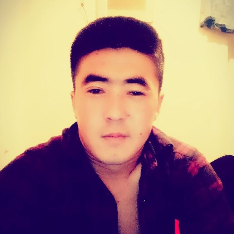  18684778  , 29 ,    