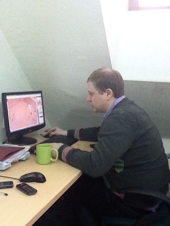 ���������� ������, ���� ������� Pavel, 40 ���, ������������ ��� ������