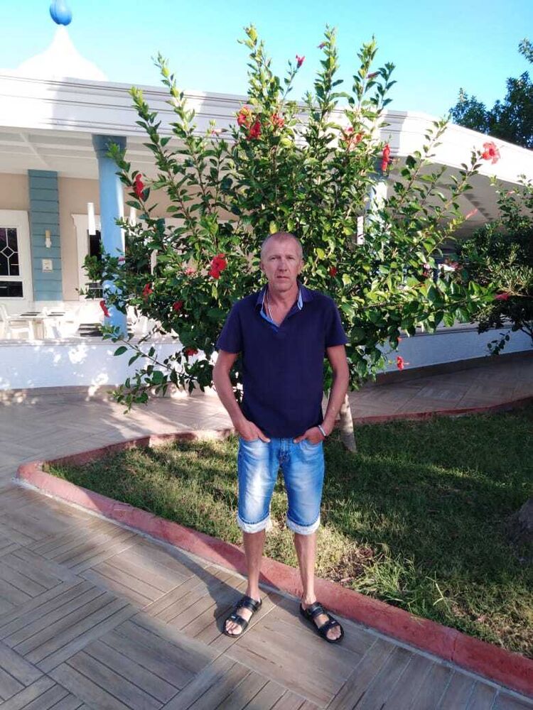  53385288  , 38 ,    -