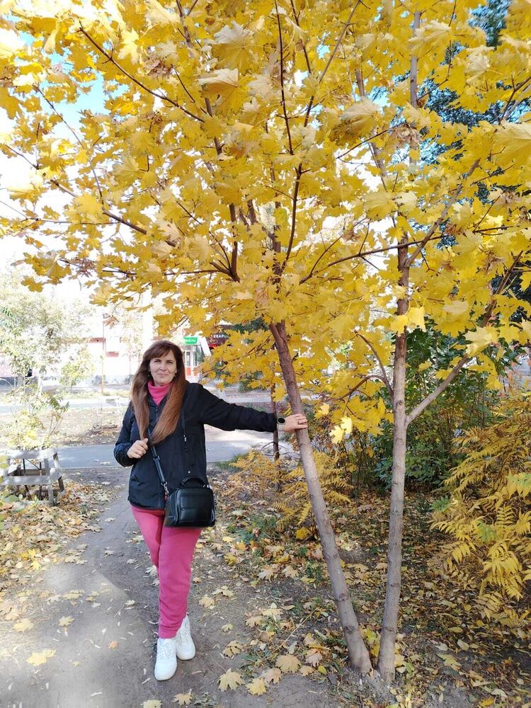 ���� 55649298 ������� ����, 42 ����, ���� ���������� � ���������