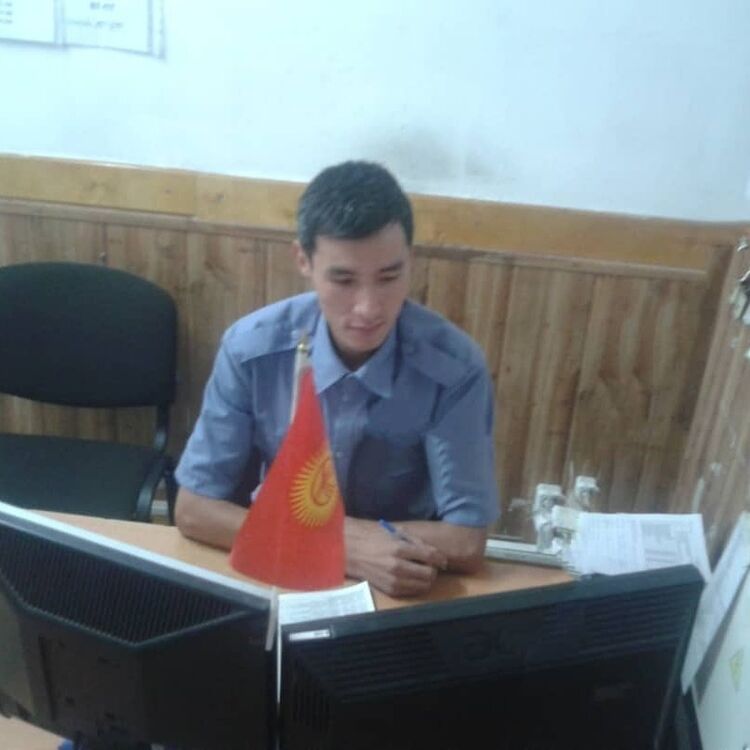 ���� 17382598 ������� �����, 33 ����, ���� ���������� � �������