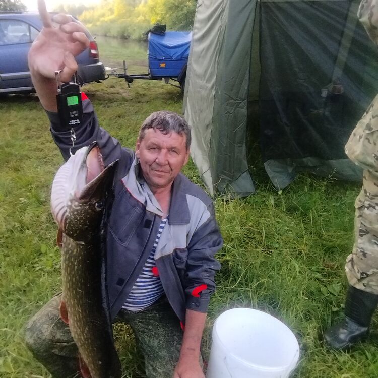 ���������� �����, ���� ������� �������, 61 ���, ������������ ��� ������, ����� � ���������