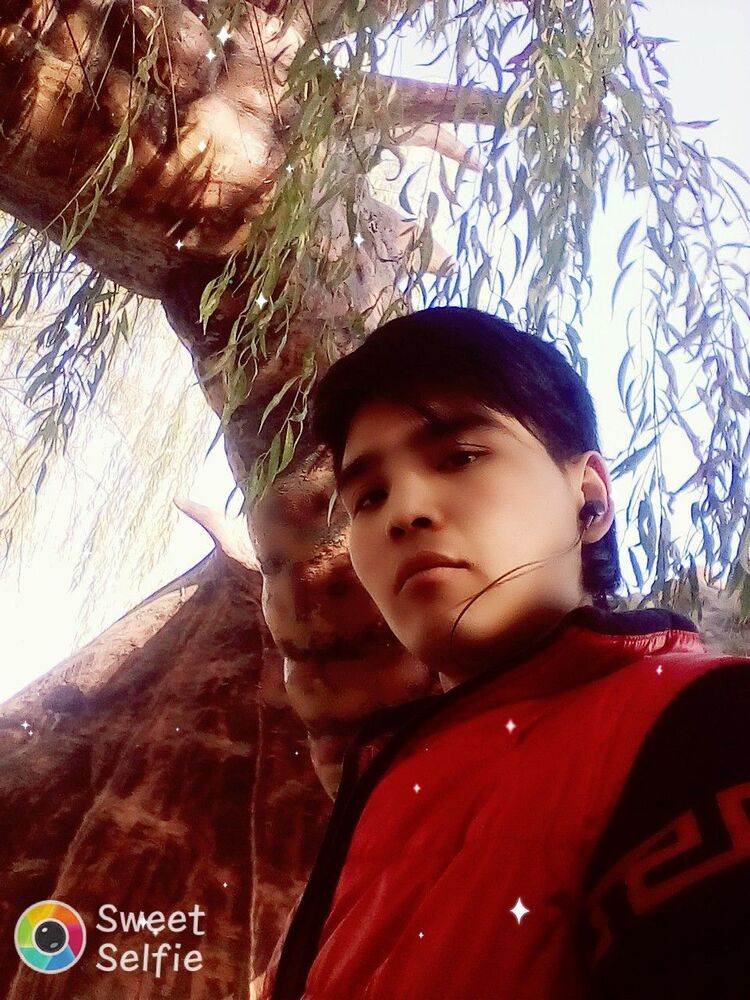 ���� 44453578 ������� ����, 29 ���, ���� ���������� � ������