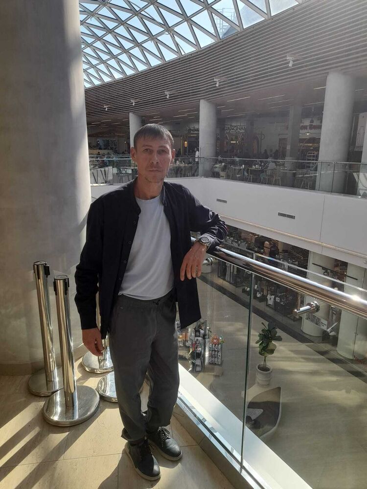  52279828  , 44 ,    -