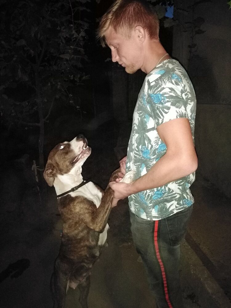  ,   Mihai, 26 ,   ,   , c 