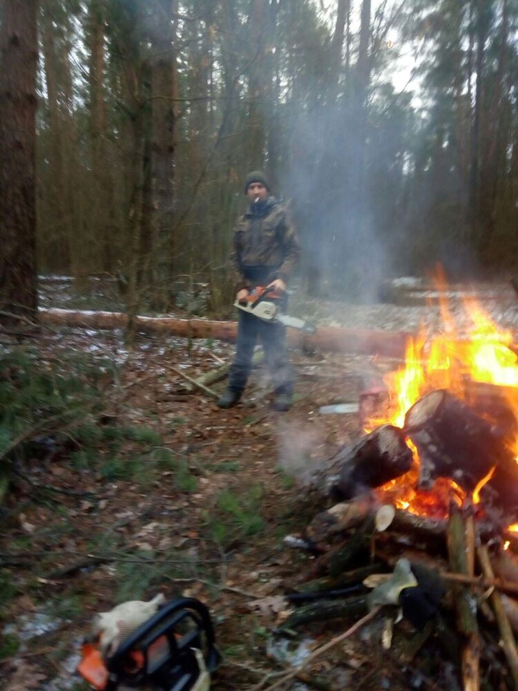 ���������� ����, ���� ������� �������, 41 ���, ������������ ��� ������, ����� � ���������, c�������� ���������, ���������