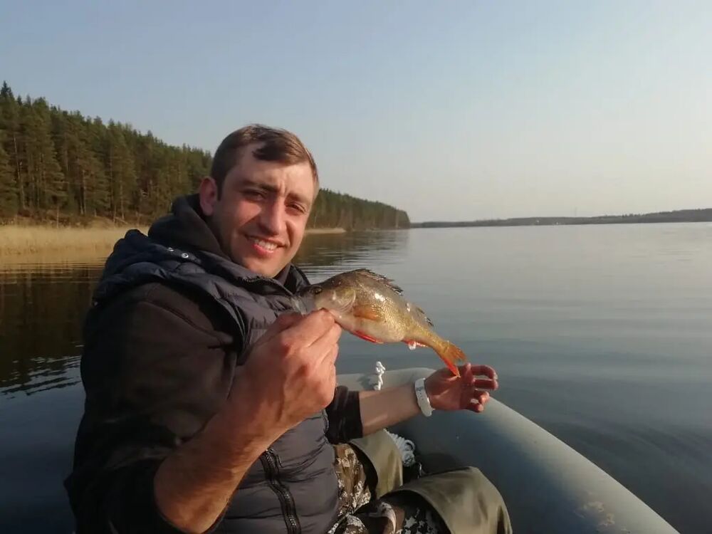  31477868  _, 37 ,    -