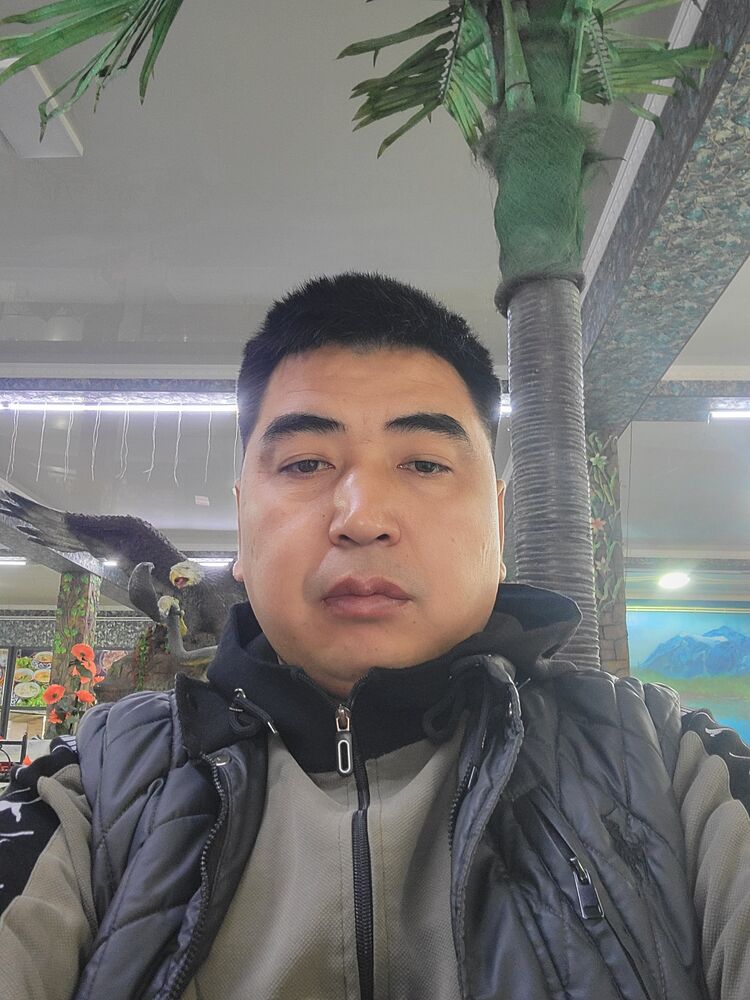  47483118  , 37 ,    