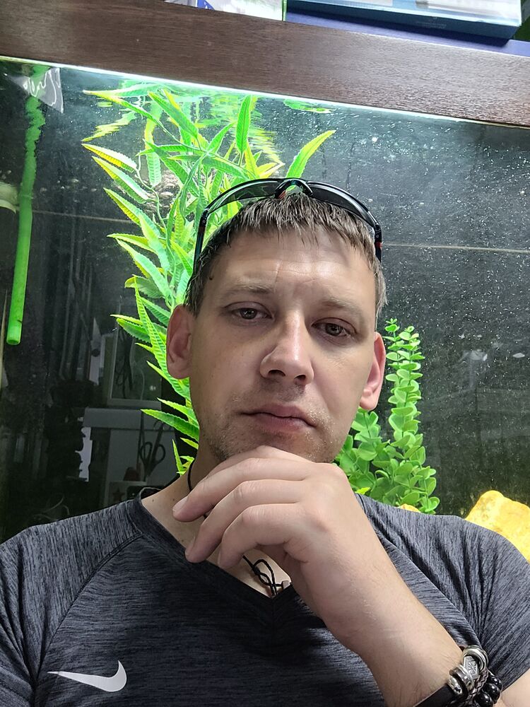  52554208  , 41 ,     