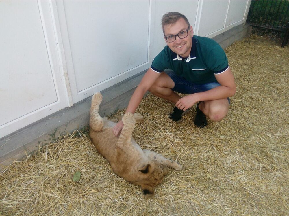 ���������� �����������, ���� ������� ������, 33 ����, ������������ ��� ������, ����� � ���������