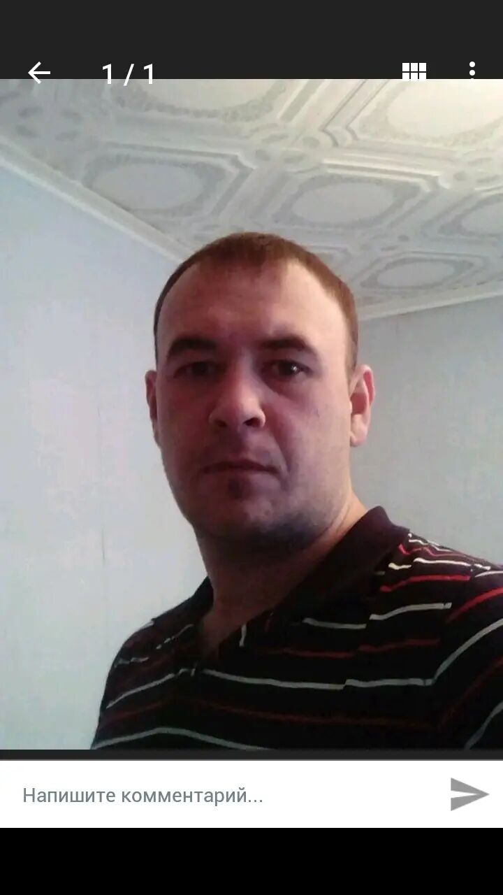  43172598  , 36 ,    