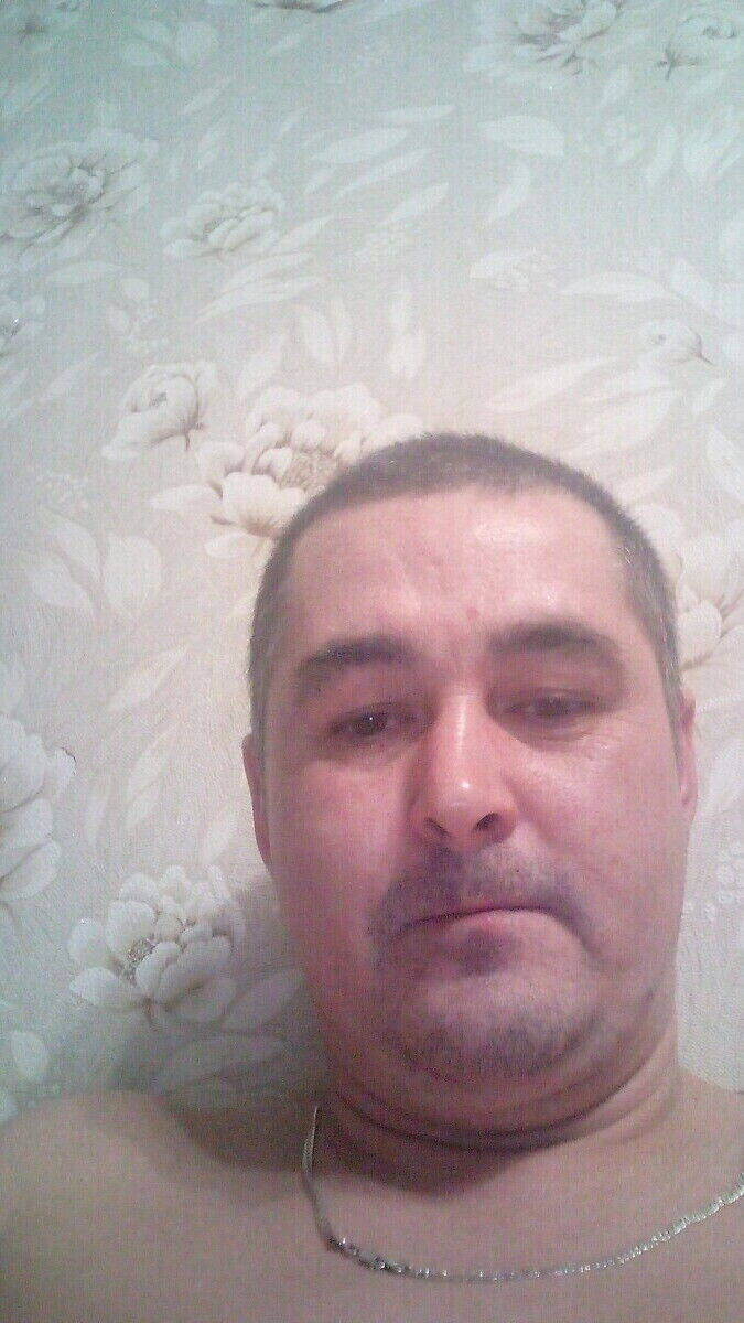 ���� 22031458 ������� ���������, 44 ����, ���� ���������� � ������