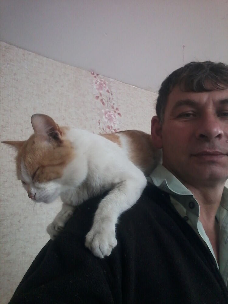  ,   , 46 ,   ,   , c 