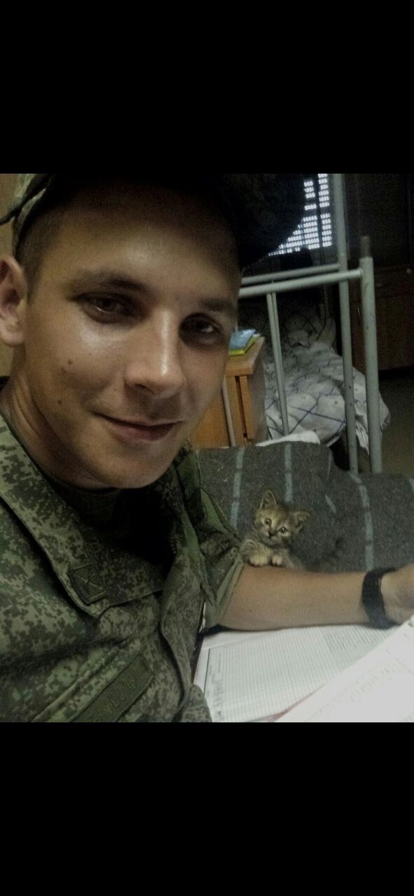 ���� 38618148 ������� ������, 36 ���, ���� ���������� � ������-���