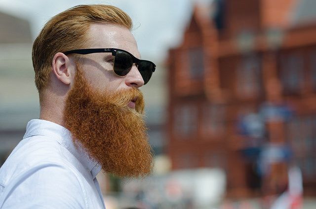 ���������� ������, ���� ������� ������, 33 ����, ������������ ��� ������